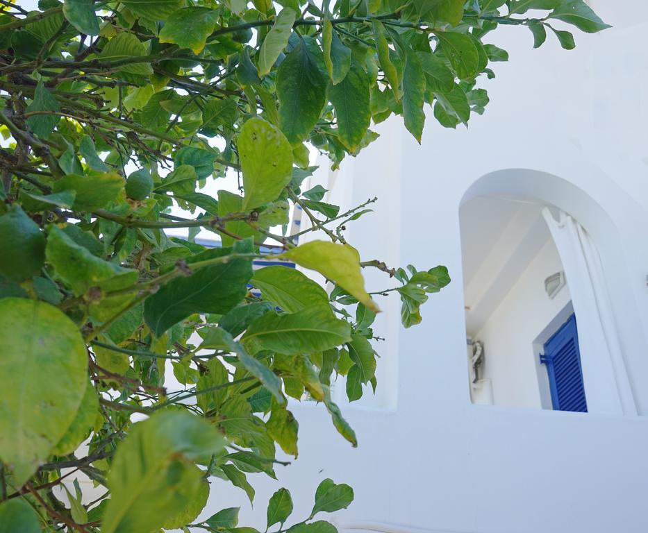 Apartment Klironomos